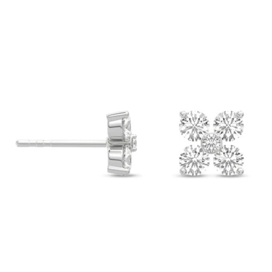 HN Cardamine Studs